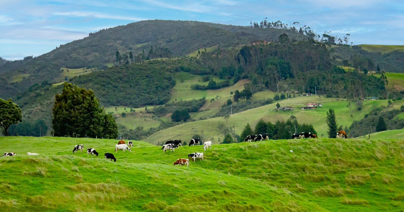 Quais são os melhores hotéis fazenda do Brasil?