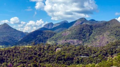 Guia rápido de Itaipava RJ: O que fazer e onde ficar