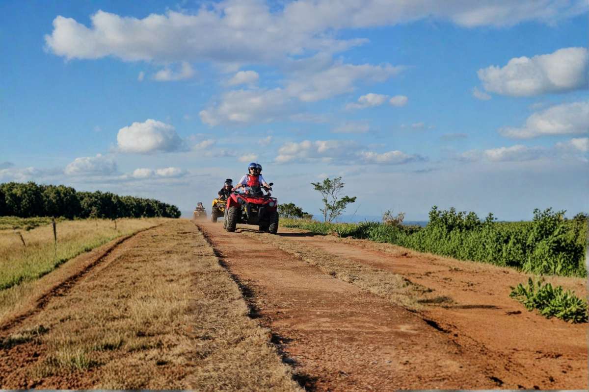 Guia rápido de Itaipava RJ: O que fazer e onde ficar